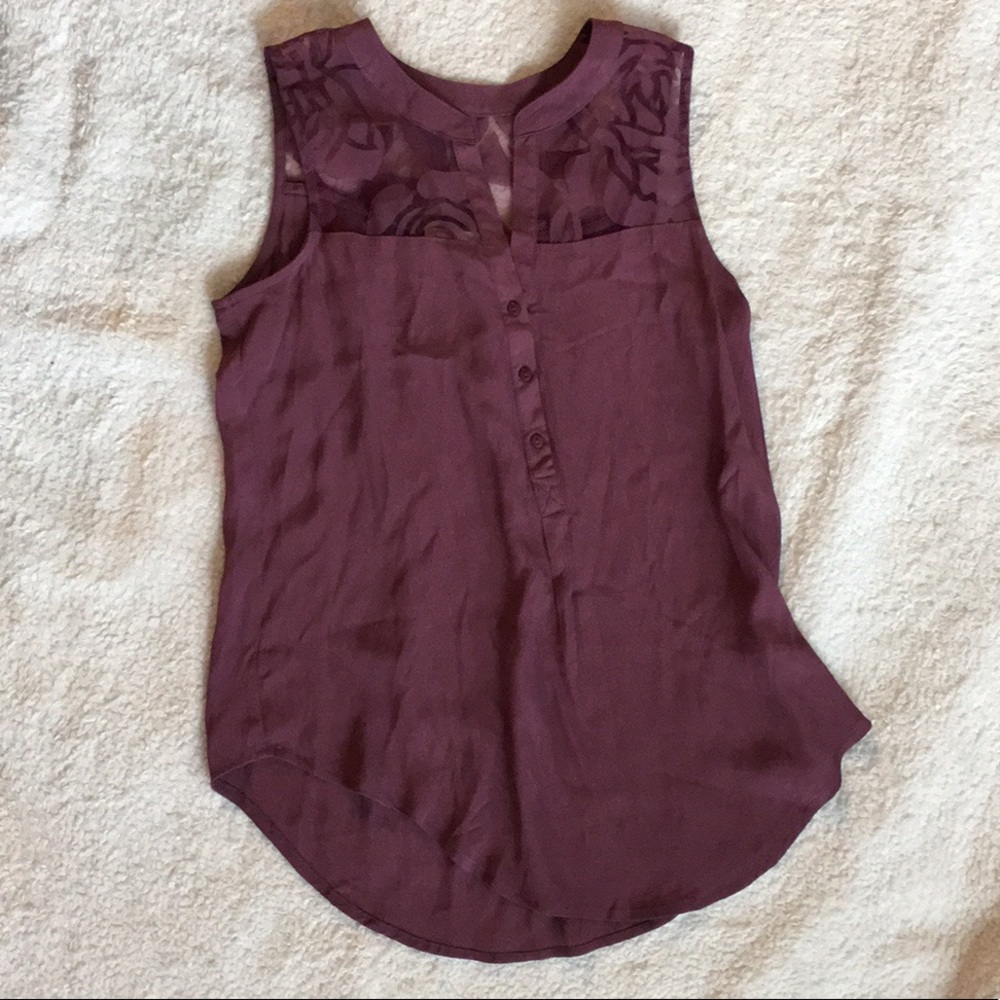 NWT 41 Hawthorn Sheer Detail Tank Anthropologie